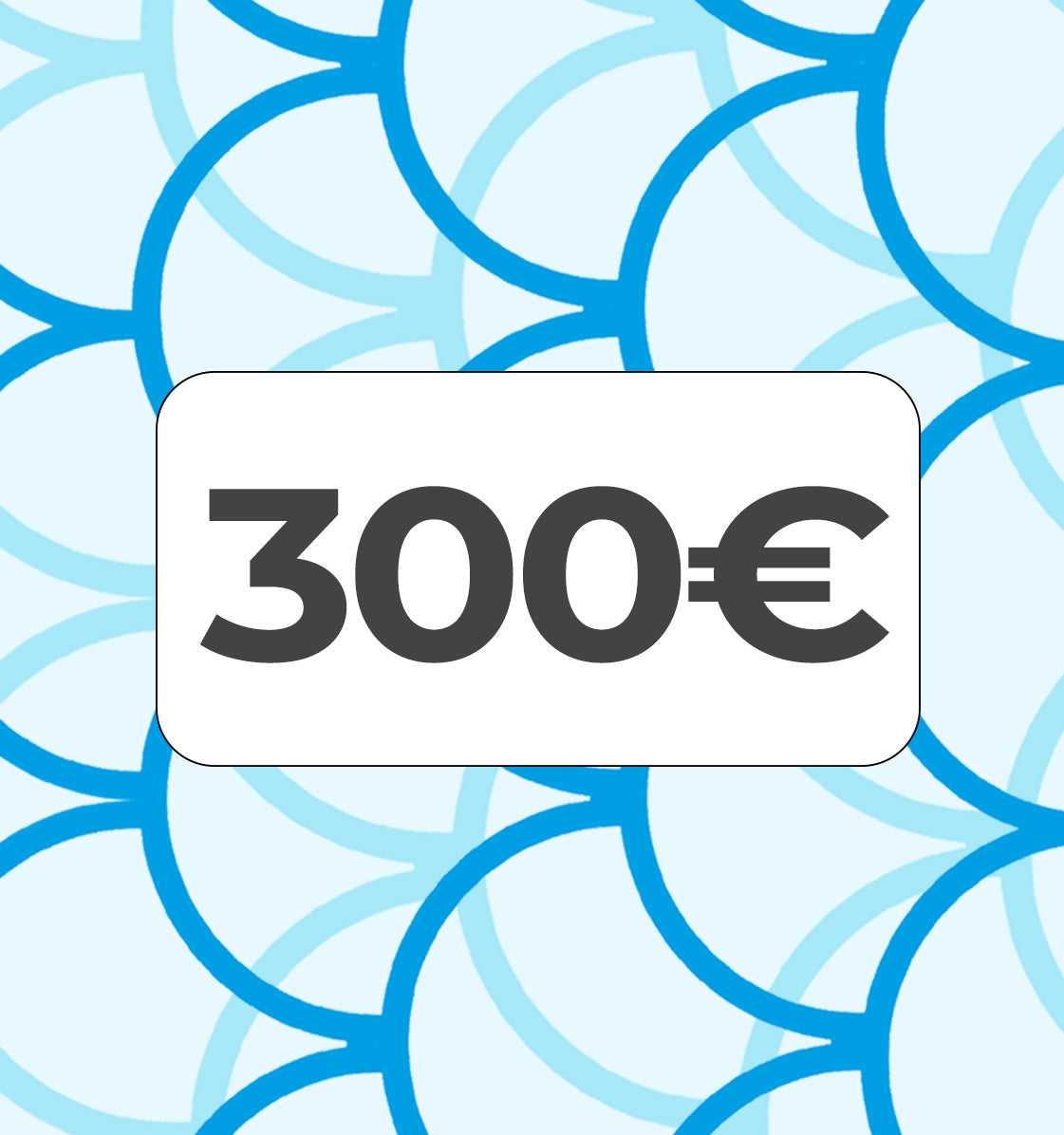 Подаръчен ваучер на стойност 300€ от MasterFishing.bg за онлайн покупки.