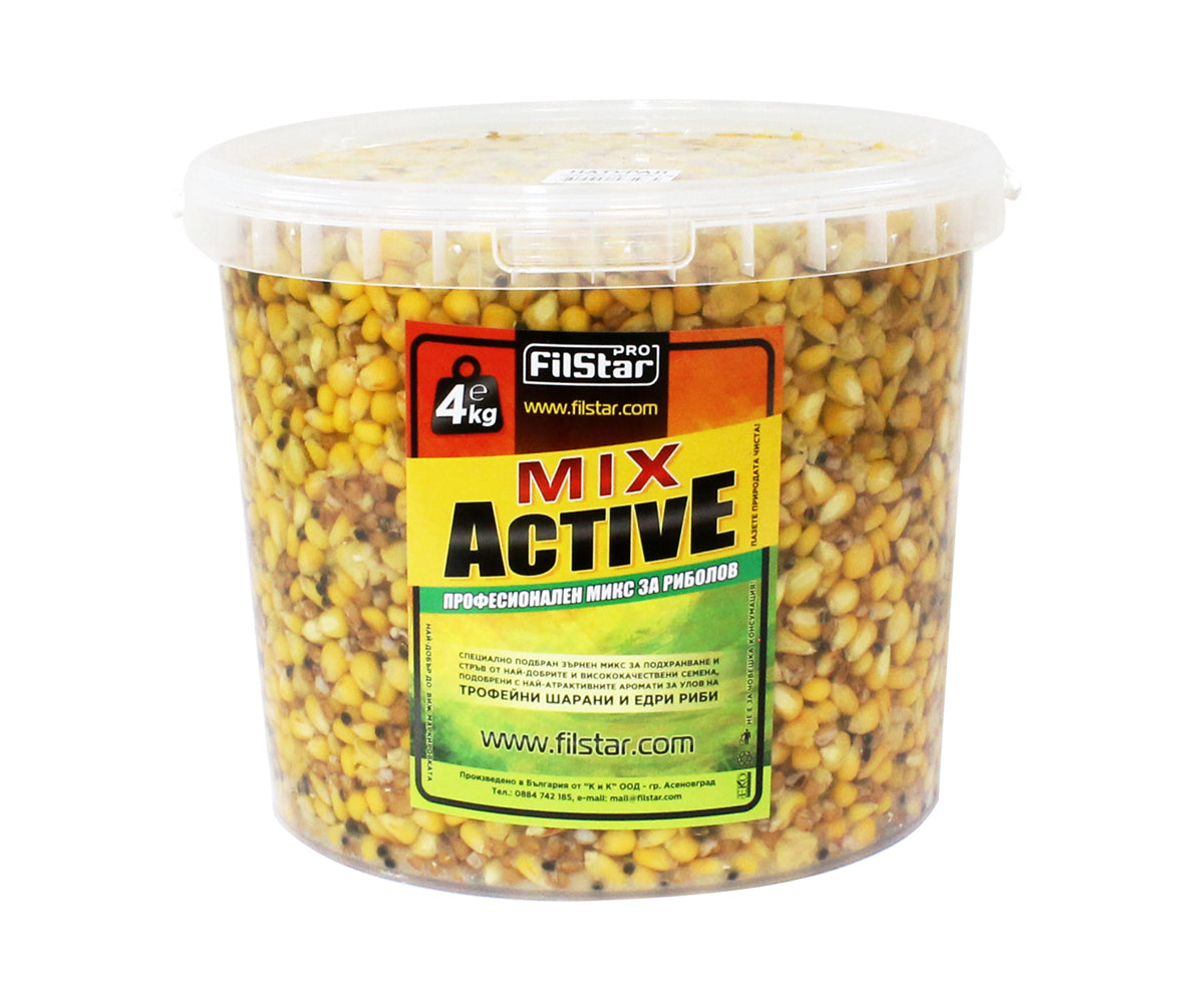 Prepared seeds FILSTAR SUPER MIX Natural - 4kg