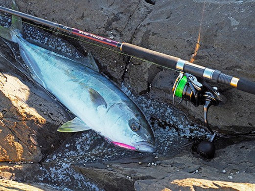 Макара Daiwa 22 CALDIA SW (JP)