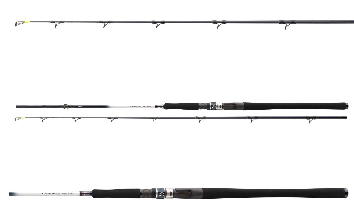 Spinning καλάμια για θαλασσινό ψάρεμα DAIWA GRANDWAVE HALIBUT/POWER HALIBUT BAITCAST