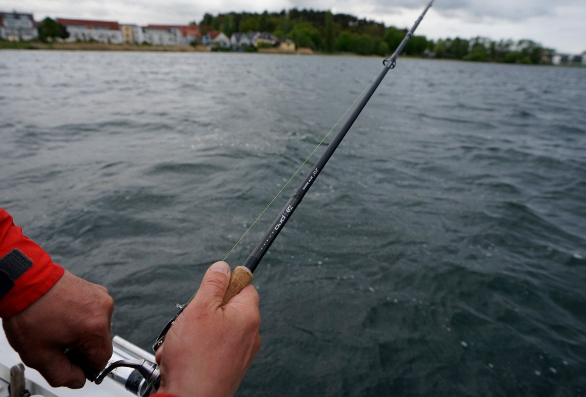 Spinning lansete DAIWA PRO STAFF BIG BAIT SPIN