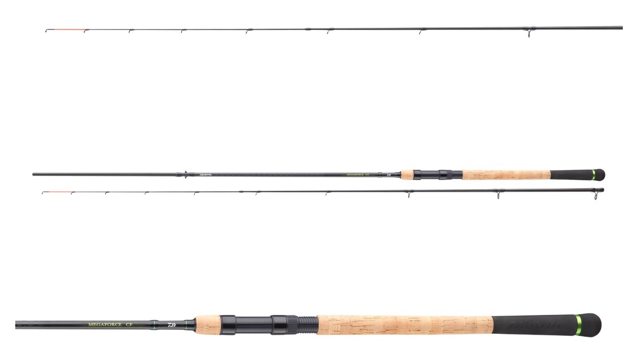 Καλάμι spinning DAIWA 25 MEGAFORCE CATFISH BAITFISH - 2.70m/120gr