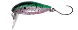 RAINBOW TROUT