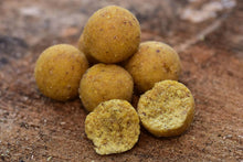 Топчета Dynamite Baits Big Fish Sweet Tiger & Corn Boilies - 1kg