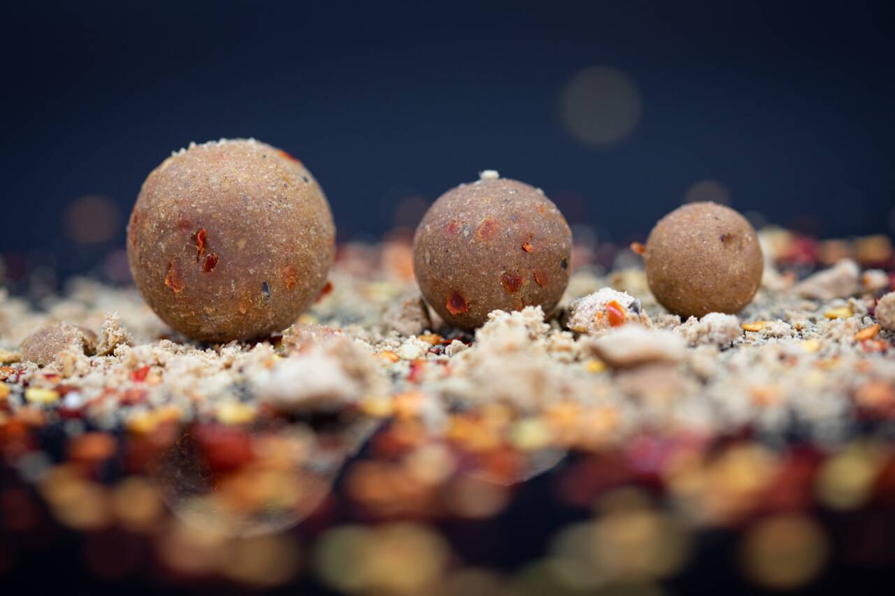 Протеинови топчета DYNAMITE BAITS Big Fish Peppered Squid Boilies - 1кг на фона на риболовни съставки.