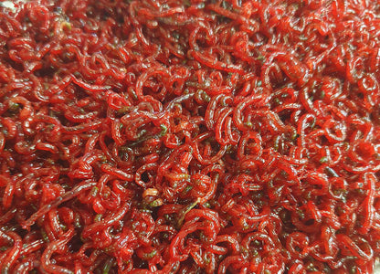 Fouillis and bloodworm - assorted pack sizes