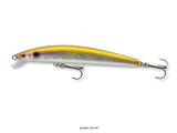 golden shiner