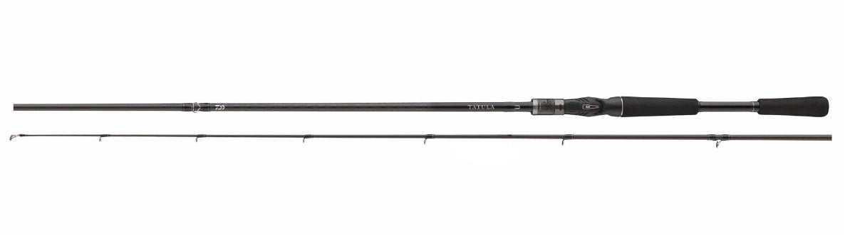 Baitcasting spinning lansete DAIWA 23 TATULA XT BAITCAST