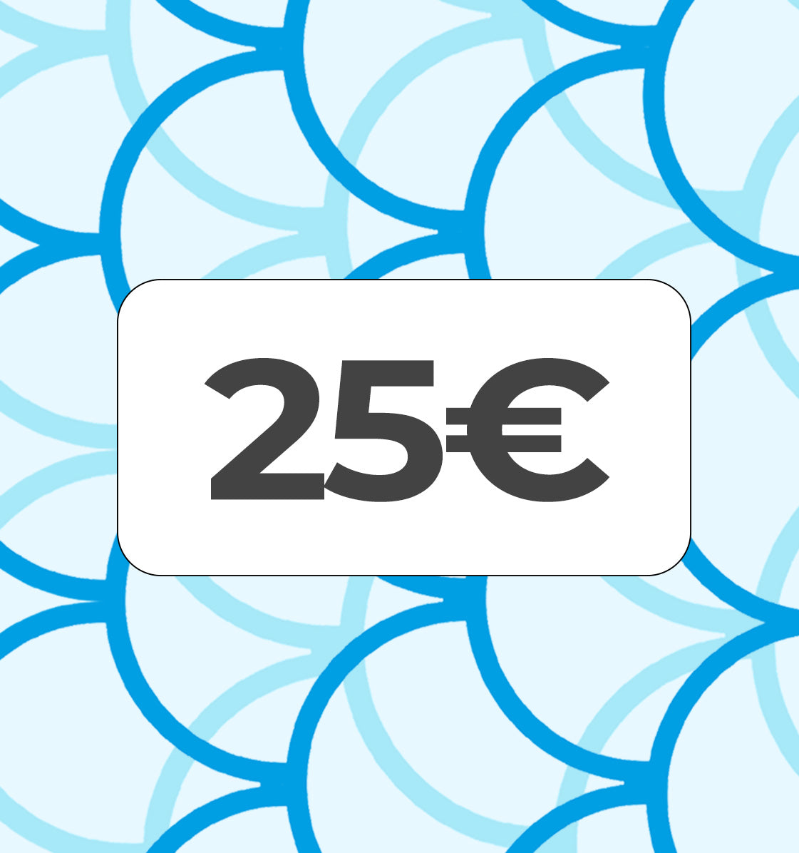 Подаръчен ваучер на стойност 25€ за покупки от MasterFishing.bg с валидност 1 година.