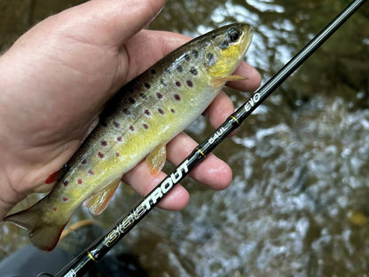 Въдица Filstar 365 Trout Spin Evo