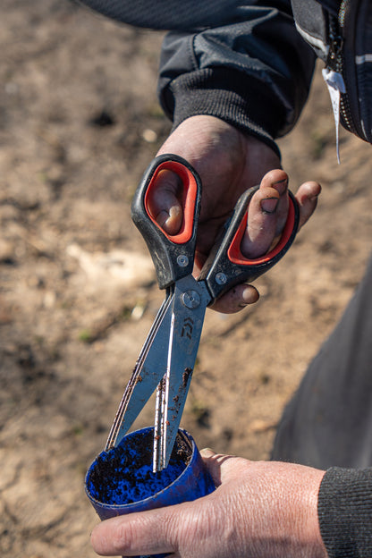Тройна ножица за стръв DAIWA N'ZON TRIPLE BLADE WORM SCISSORS в ръката на рибар, нарязваща червеи.