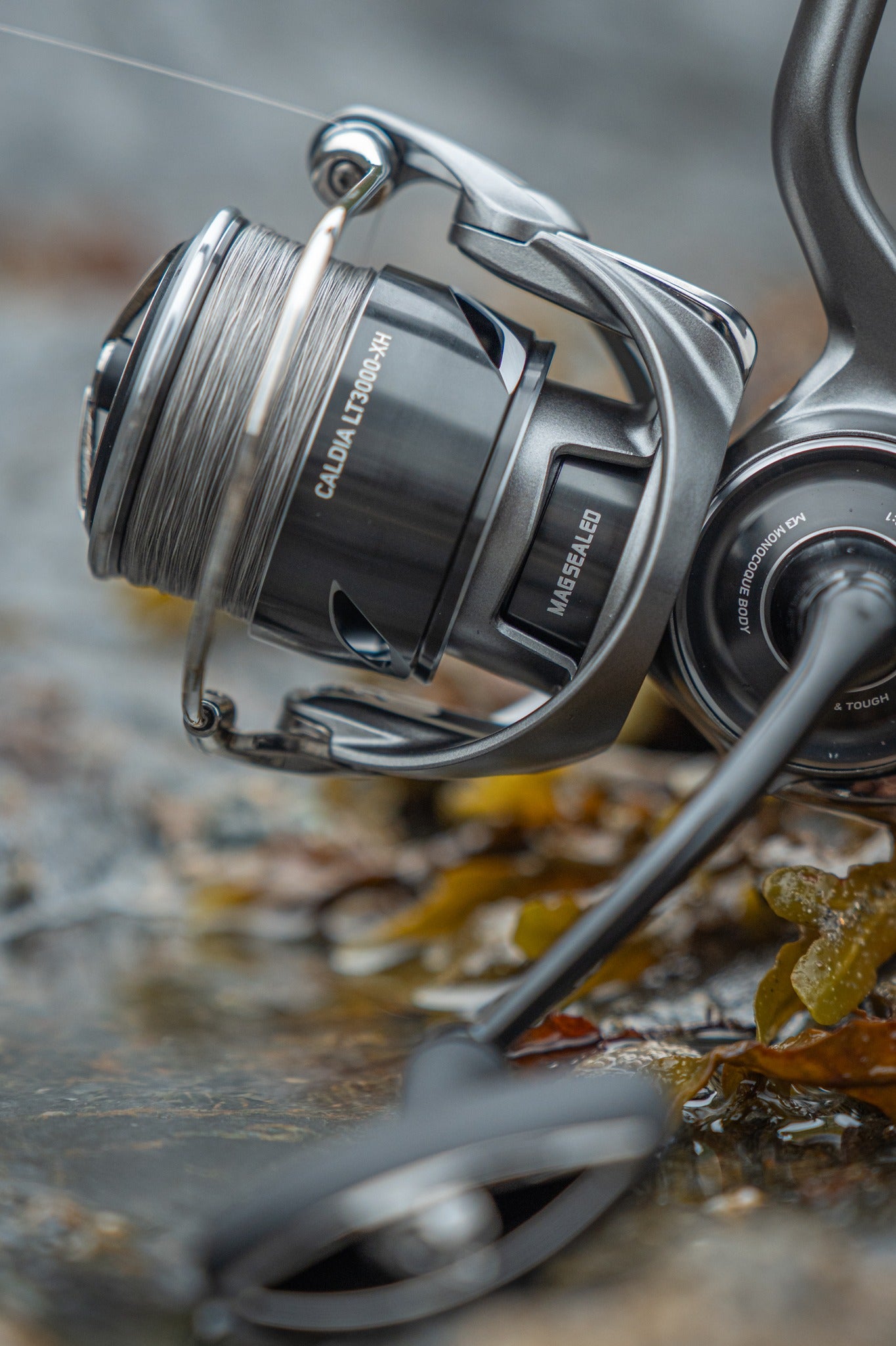 Макара DAIWA 25 CALDIA FC LT в близък план с въдица в природна среда