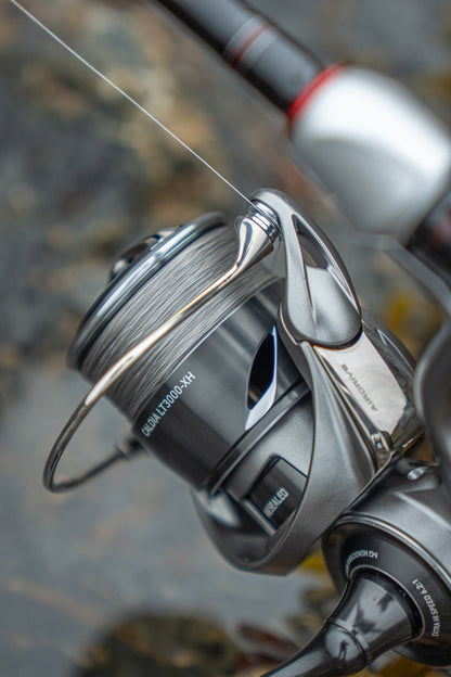 Макара DAIWA 25 CALDIA FC LT с шнур на риболовен вал в близък план