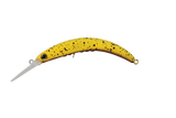 38 SUGAR SPOT