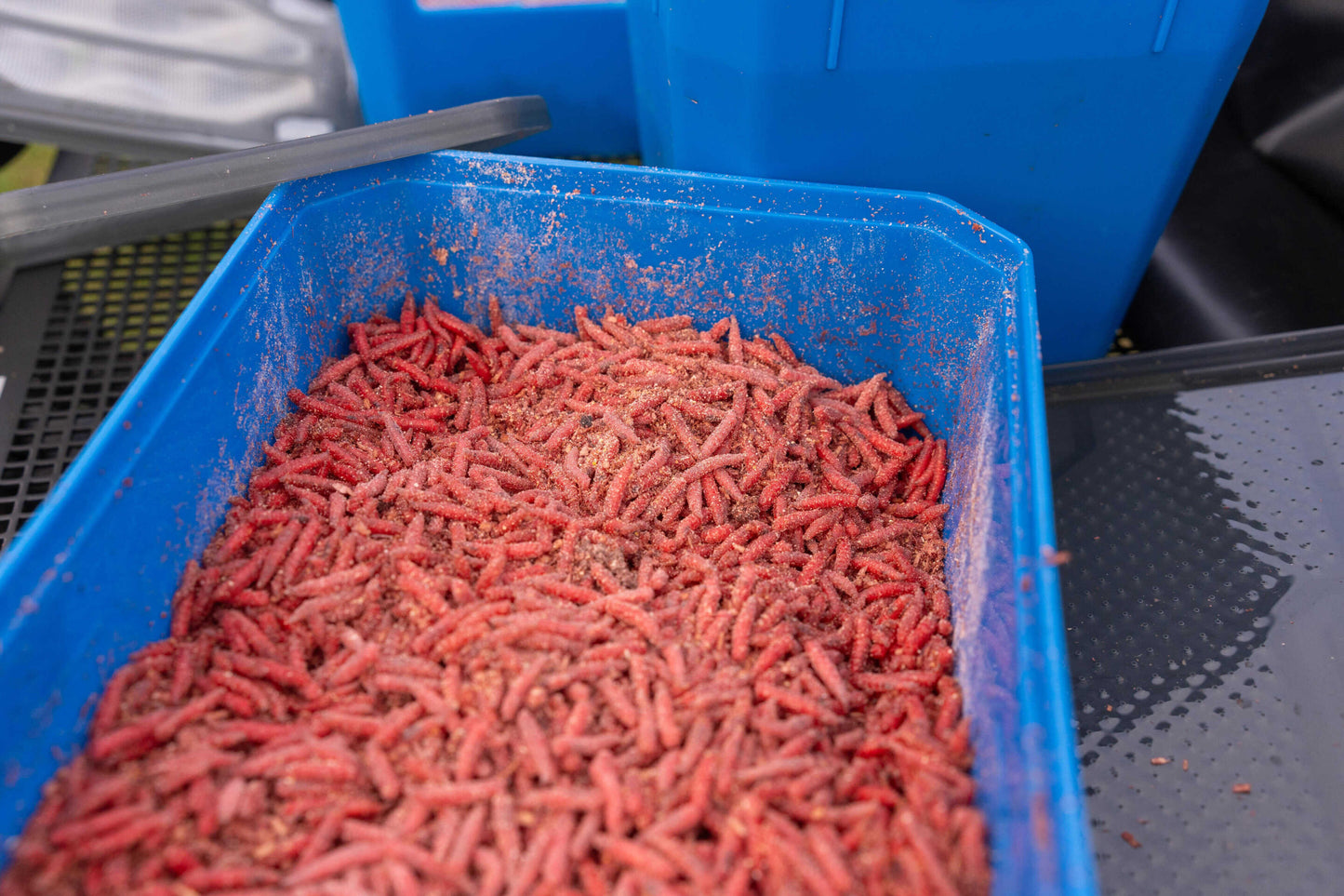 Кутия за стръв PRESTON 6PT BAIT TUB