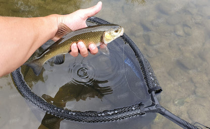 Кеп FILSTAR Pro Float Net - Oval 50×40см