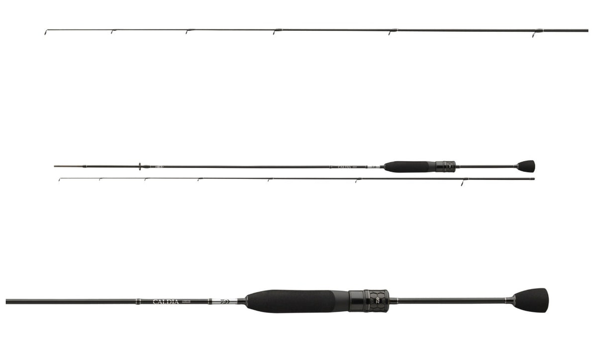 Спининг въдица DAIWA 26 CALDIA NANOJIG