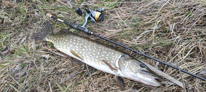 Въдица FilStar Venom River Crank 67UL - 2.04м/2-8гр