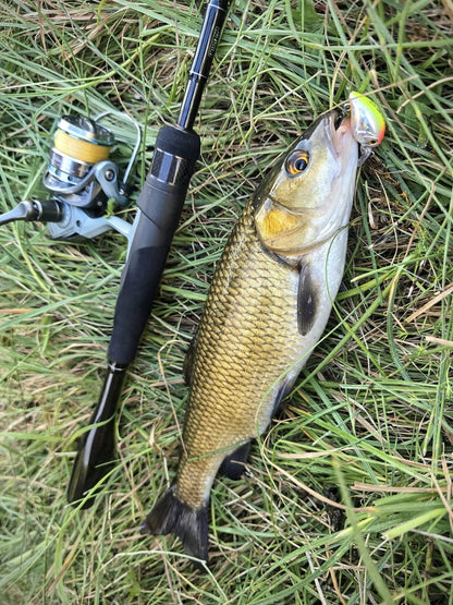 Въдица Filstar 365 Chub