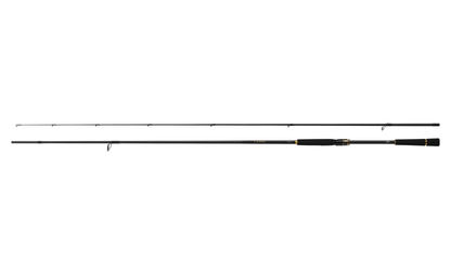 Spinning lansete pentru marin pescuit DAIWA LATEO