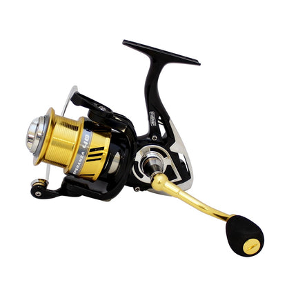 FilStar Speranza Reel
