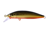 #27 Black Gold Orange Belly