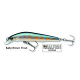 baby brown trout