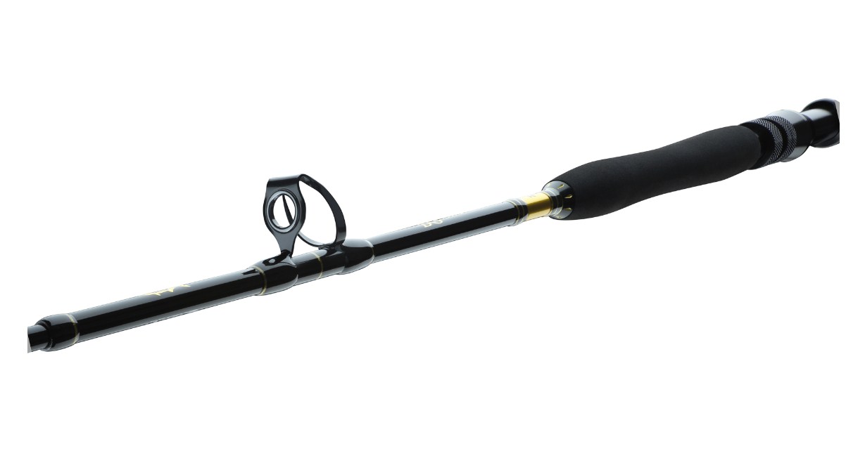 Spinning lansete DAIWA 23 BG BIG GAME