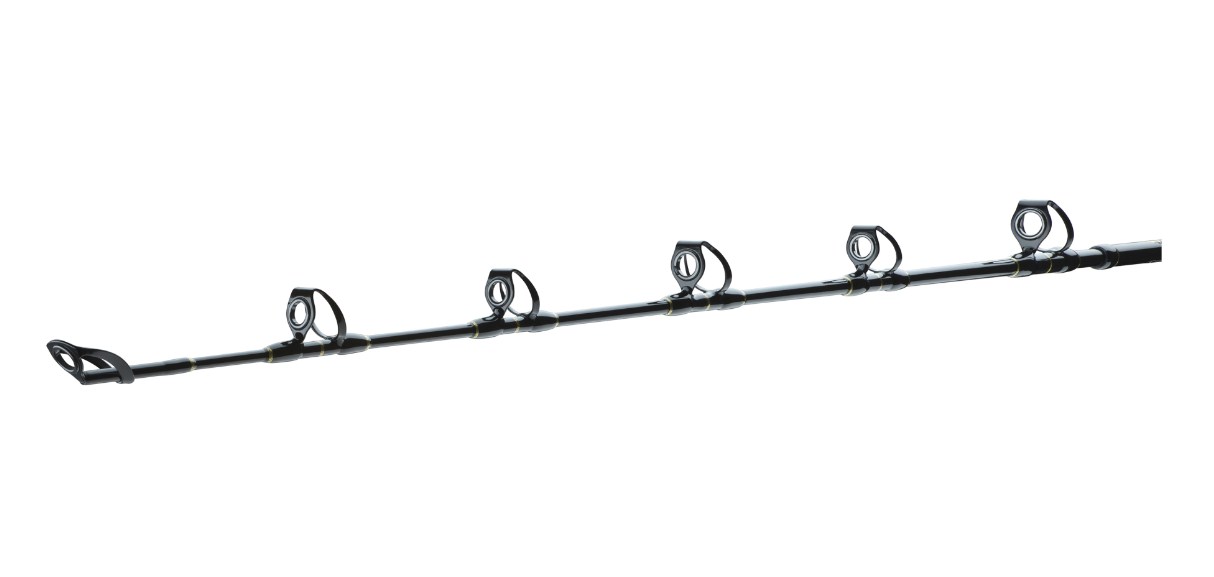 Spinning lansete DAIWA 23 BG BIG GAME