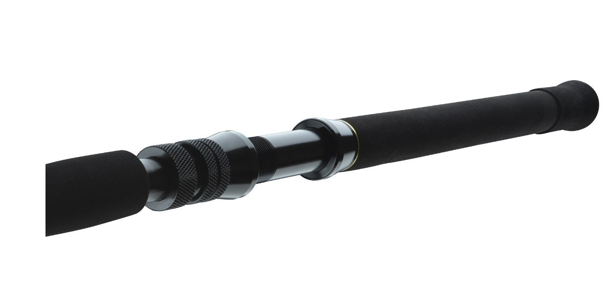 Spinning lansete DAIWA 23 BG BIG GAME