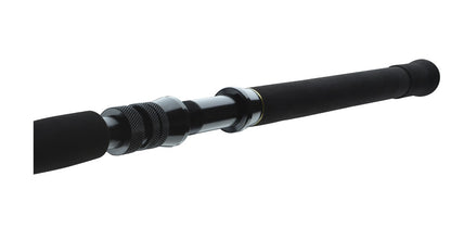 Spinning lansete DAIWA 23 BG BIG GAME