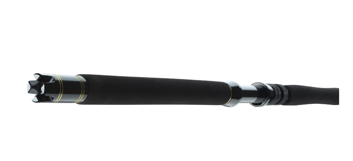 Spinning lansete DAIWA 23 BG BIG GAME