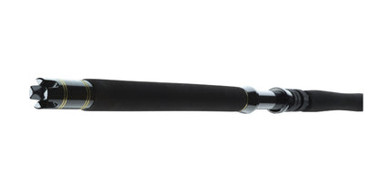 Spinning lansete DAIWA 23 BG BIG GAME