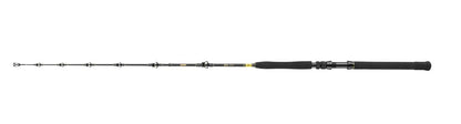 Spinning lansete DAIWA 23 BG BIG GAME