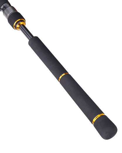 Lansetă spinning pentru marin pescuit DAIWA BG SEABASS