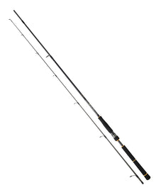 Спиннинговое удилище для морской рыбалка DAIWA BG SEABASS