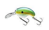 Blue Perch