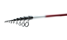 Болонезе въдици DAIWA NINJA BOLO - 4.00/5.00/6.00m