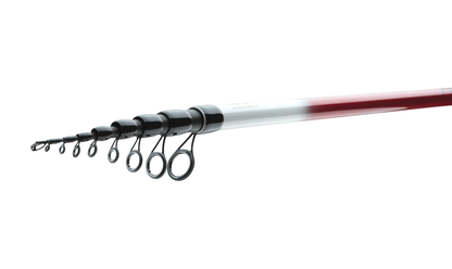 Καλάμια Bolognese DAIWA NINJA BOLO - 4.00/5.00/6.00m