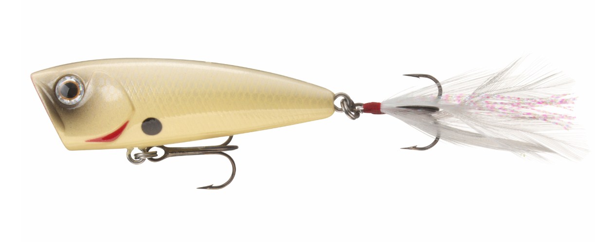 Popper DAIWA STEEZ POPPER 60F - 6.0cm/7.6gr