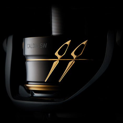 Макара Daiwa 22 CALDIA SW (JP)