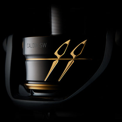 Макара Daiwa 22 CALDIA SW (JP)