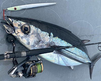 Макара Daiwa 22 CALDIA SW (JP)