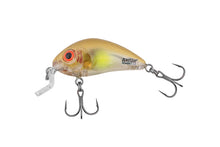 Wobbler SALMO Rattlin’ Hornet Shallow - 3.5cm/3gr