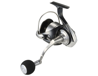 Reel for sea fishing DAIWA 24 CERTATE SW (G)