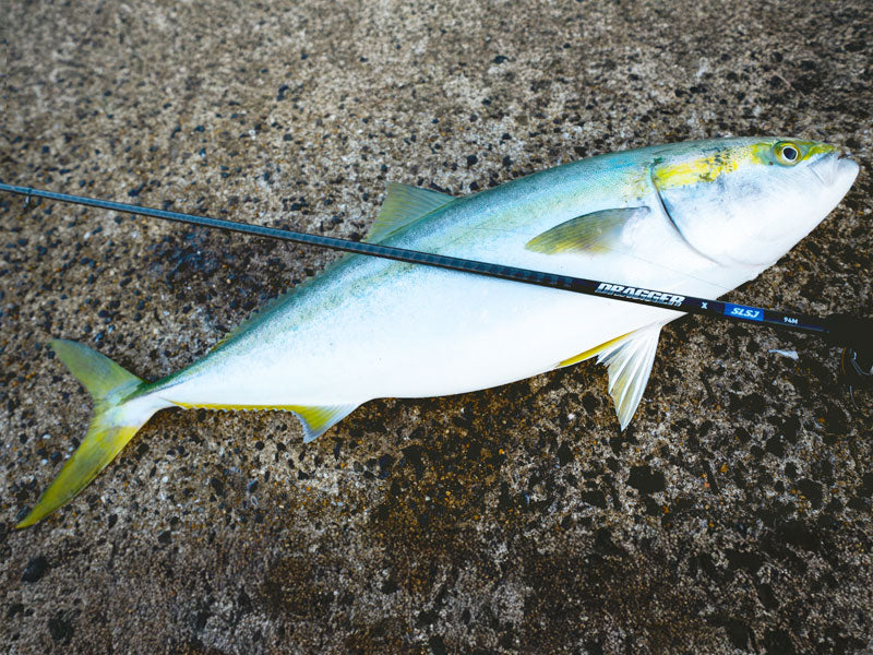 Spinning rods for sea fishing DAIWA Dragger X SLSJ
