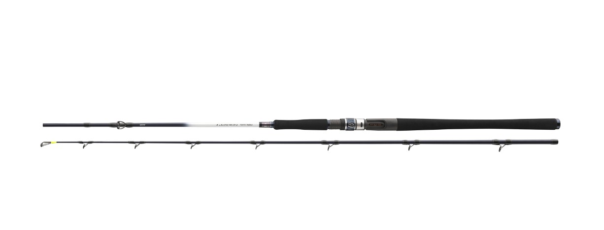 Spinning καλάμια για θαλασσινό ψάρεμα DAIWA GRANDWAVE HALIBUT/POWER HALIBUT BAITCAST