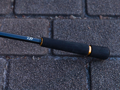 Spinning lansete pentru marin pescuit DAIWA LATEO