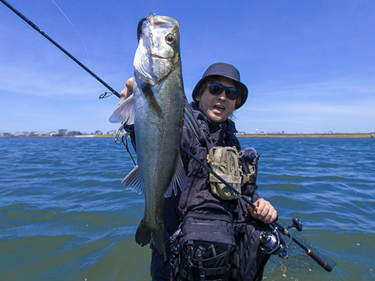 Spinning lansete pentru marin pescuit DAIWA LATEO