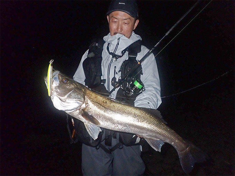 Spinning lansete pentru marin pescuit DAIWA LATEO